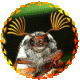 Benutzeravatar