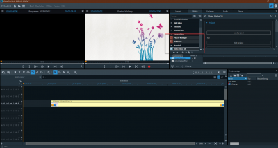 Video Pro X14 mit Video Vision 14.png