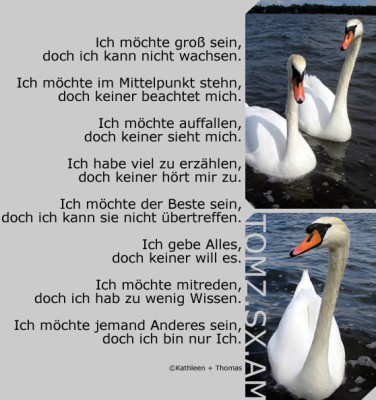 poesie3.jpg