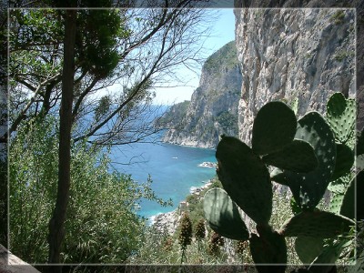 capri1.jpg