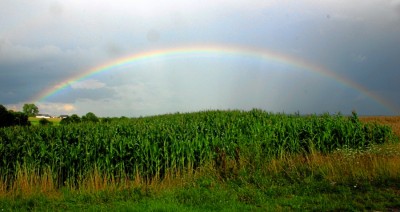 Regenbogen