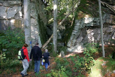Auf dem Ferschweiler Plateau