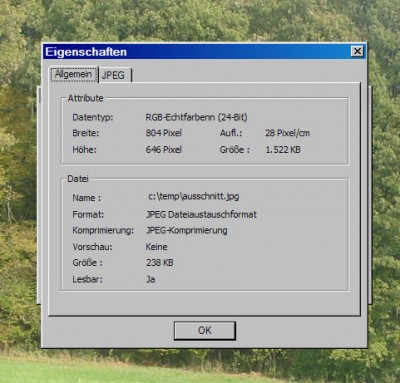 imp11ausschn.jpg
