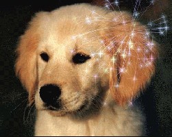 B5FW.jpg (34.77 KiB) 3426 mal betrachtet B5FW.jpg