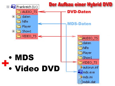 Hybrid DVD.jpg