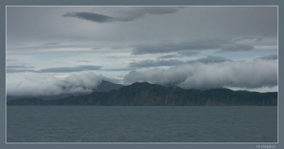 Marlborough Sounds PICT0595.JPG