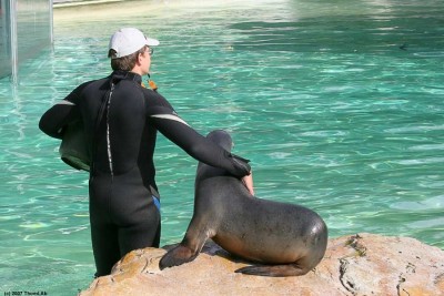 Aufgenommen im Zoologischen Garten Berlin