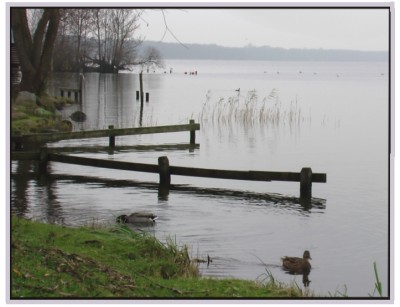 Grau in grau gibt´s doch für´n Fotografen nicht, sieht man auch in diesem Monat im AS-Wettbewerb sehr deutlich