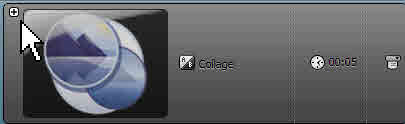 collage.jpg