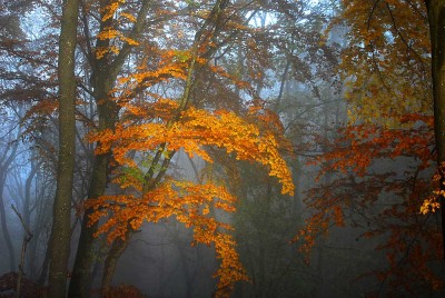 Aufnahme Zeit 16:30 bei leichtem Nebel