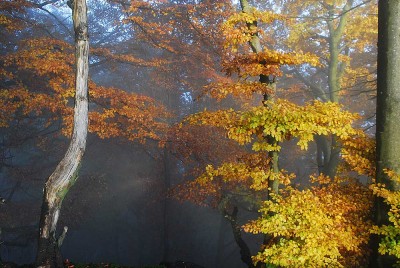 einpaar 100 Meter weiter ein Sonnenstrahl