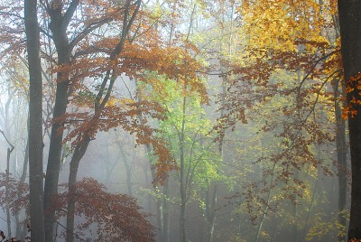 Tiefenwirkung durch Nebel