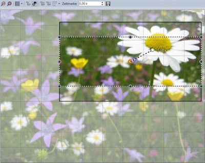 Screenshot aus Layoutdesigner (DS 8.0.23)