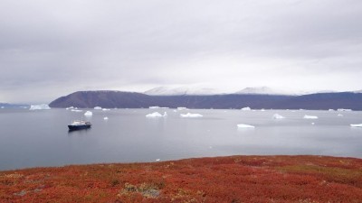 Herbstliche Tundra auf Ostgrönland.jpg