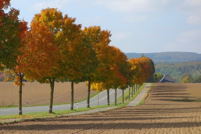 Schön ist er ja der Herbst.