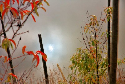 Die Herstsonne im Spiegel der Mosel