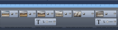 Zweispurenproblem