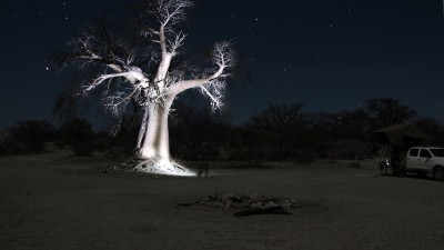 Ein Gruß aus Afrika