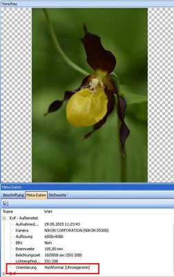Hochformat auch in den exif-Daten
