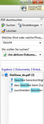 Suche_Gesicht_PDF.png